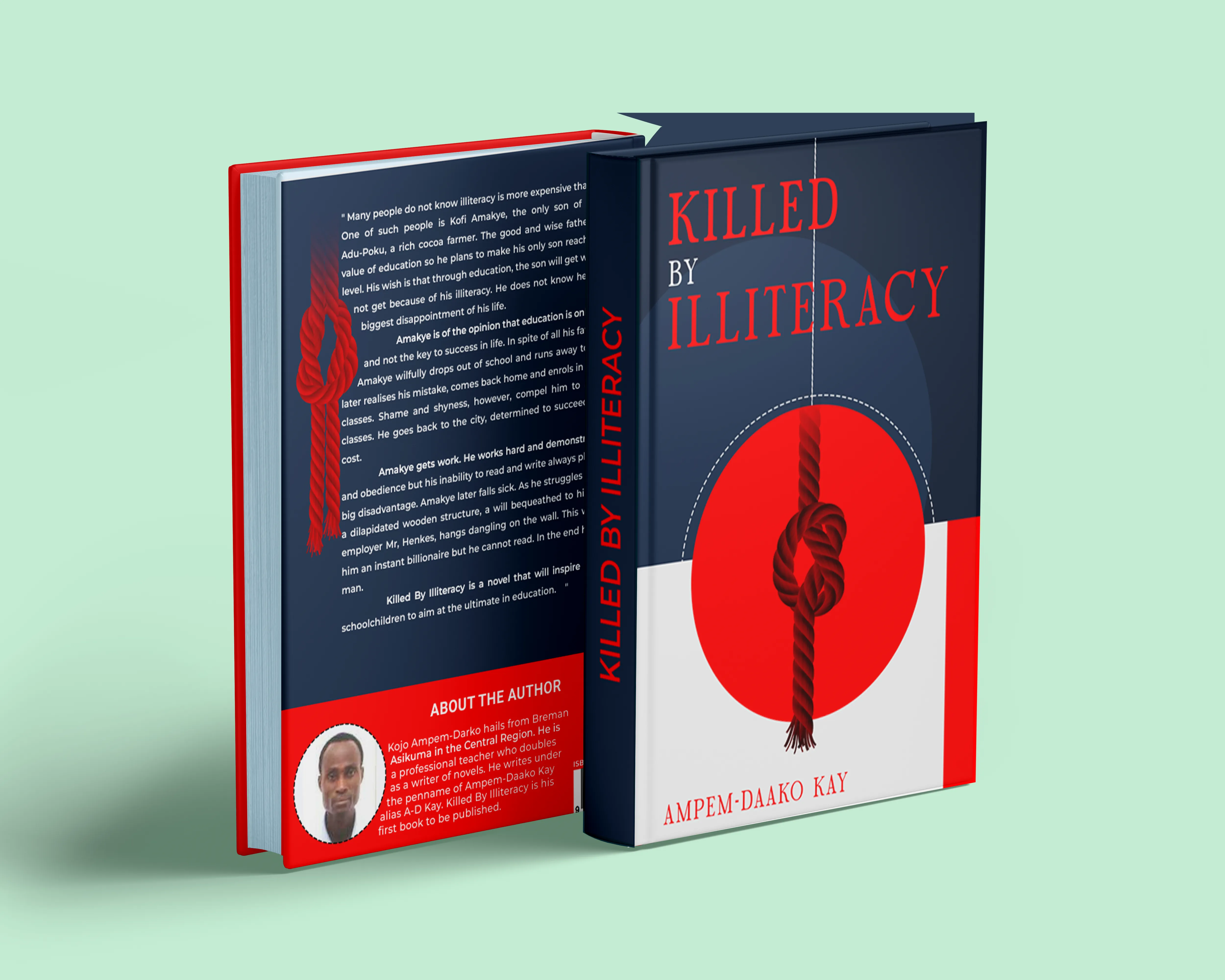 Killed by Illiteracy Book Cover